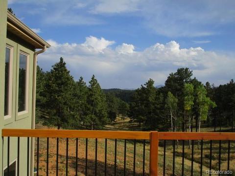 628 Lions Head Ranch Rd, Pine, CO 80470 photo 11