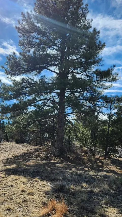 tbd L I Path, Cotopaxi, CO 81223 photo 19