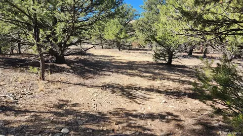 tbd L I Path, Cotopaxi, CO 81223 photo 5