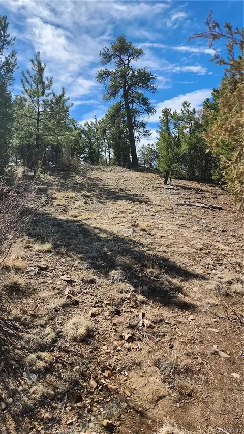 tbd L I Path, Cotopaxi, CO 81223 photo 6