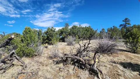 tbd L I Path, Cotopaxi, CO 81223 photo 20