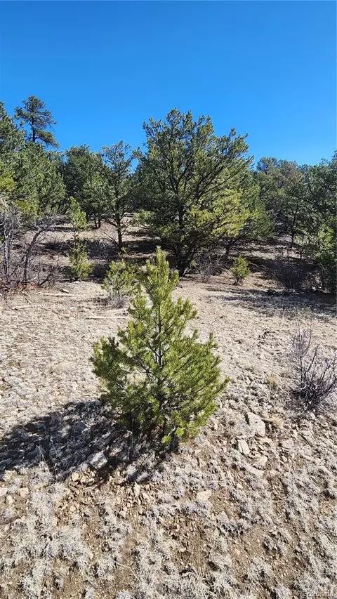 tbd L I Path, Cotopaxi, CO 81223 photo 22
