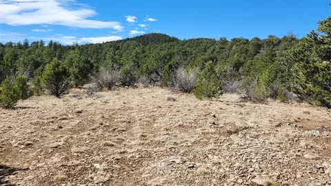tbd L I Path, Cotopaxi, CO 81223 photo 14