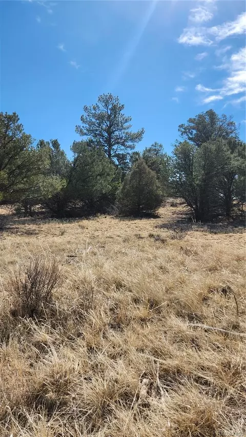 tbd L I Path, Cotopaxi, CO 81223 photo 27