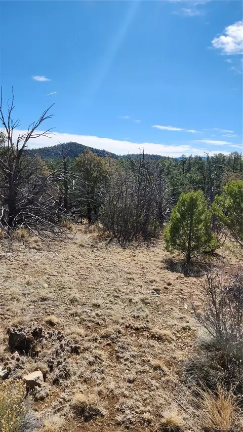tbd L I Path, Cotopaxi, CO 81223 photo 15