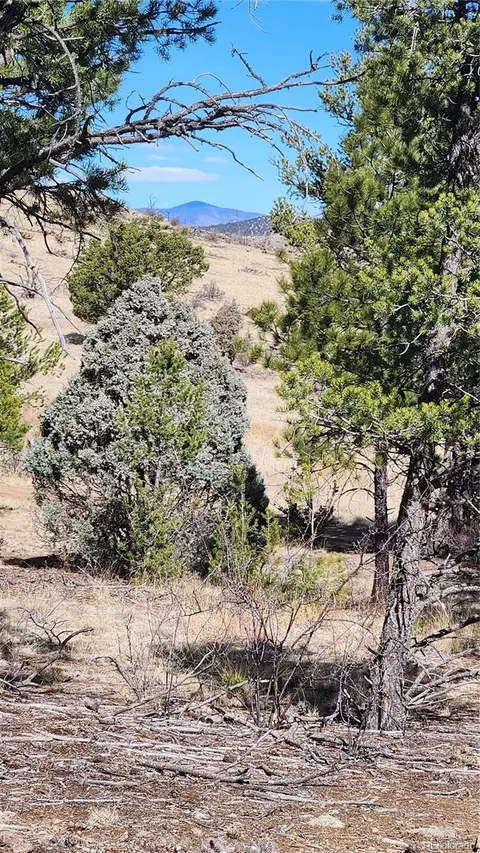 tbd L I Path, Cotopaxi, CO 81223 photo 13
