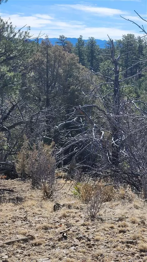 tbd L I Path, Cotopaxi, CO 81223 photo 29