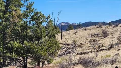 tbd L I Path, Cotopaxi, CO 81223 photo 28