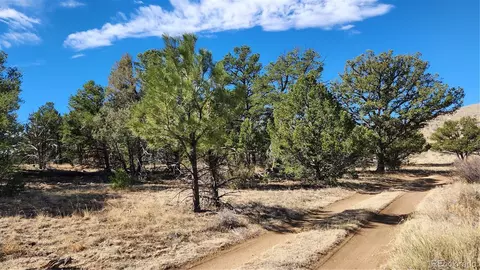 tbd L I Path, Cotopaxi, CO 81223 photo 4