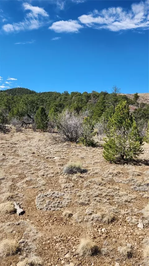 tbd L I Path, Cotopaxi, CO 81223 photo 3