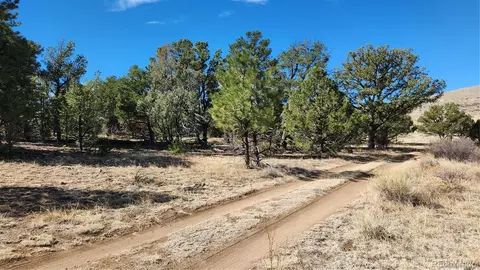 tbd L I Path, Cotopaxi, CO 81223 photo 12