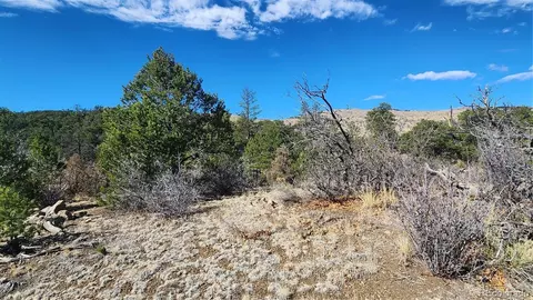 tbd L I Path, Cotopaxi, CO 81223 photo 21