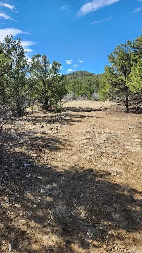 tbd L I Path, Cotopaxi, CO 81223 photo 11
