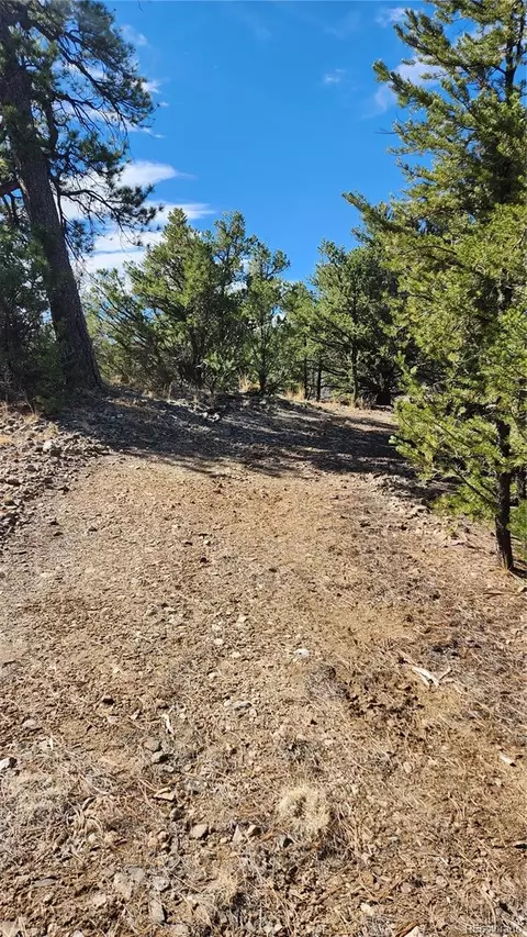 tbd L I Path, Cotopaxi, CO 81223 photo 10