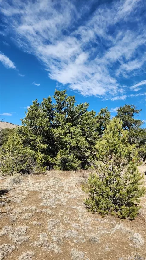 tbd L I Path, Cotopaxi, CO 81223 photo 7