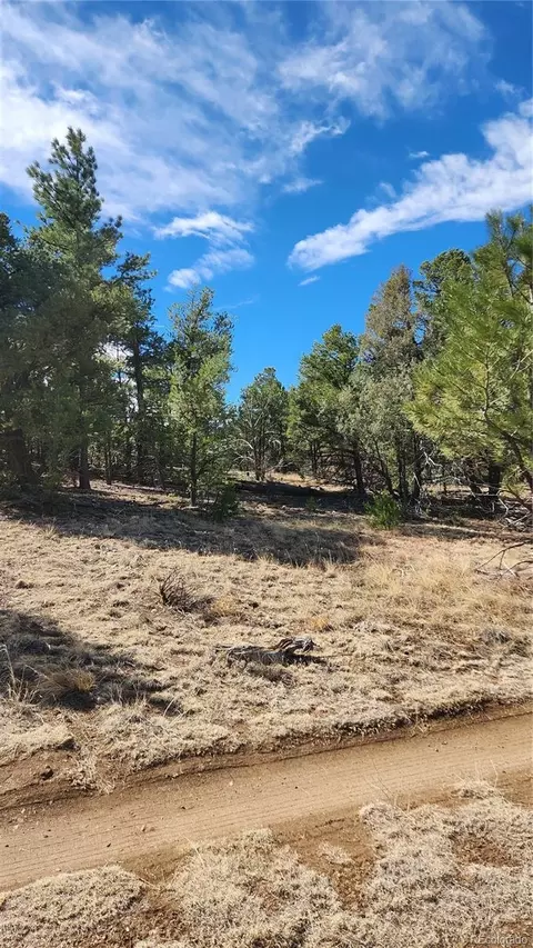 tbd L I Path, Cotopaxi, CO 81223 photo 23