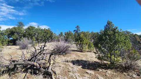 tbd L I Path, Cotopaxi, CO 81223 photo 18