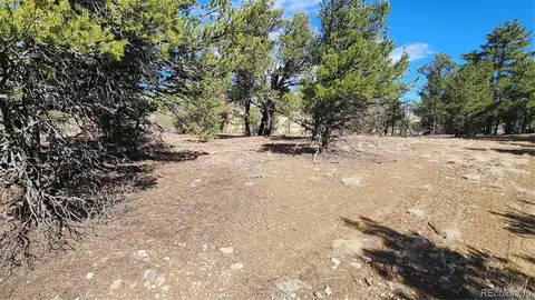 tbd L I Path, Cotopaxi, CO 81223 photo 8