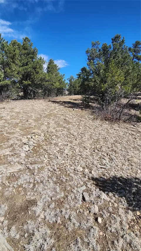 tbd L I Path, Cotopaxi, CO 81223 photo 24