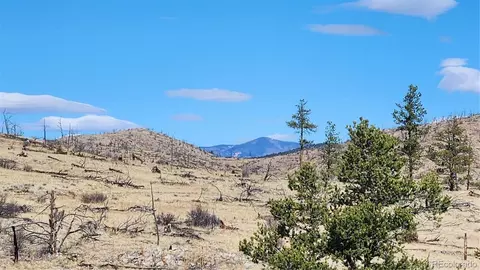 tbd L I Path, Cotopaxi, CO 81223 photo 30
