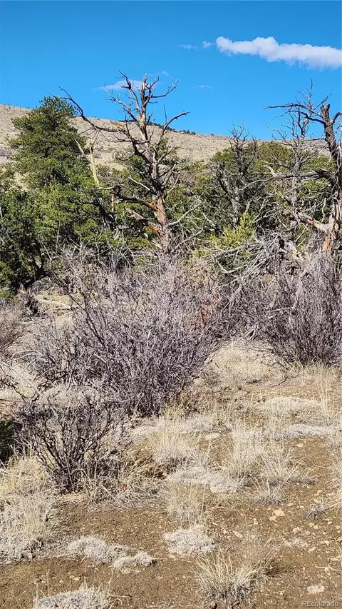tbd L I Path, Cotopaxi, CO 81223 photo 17