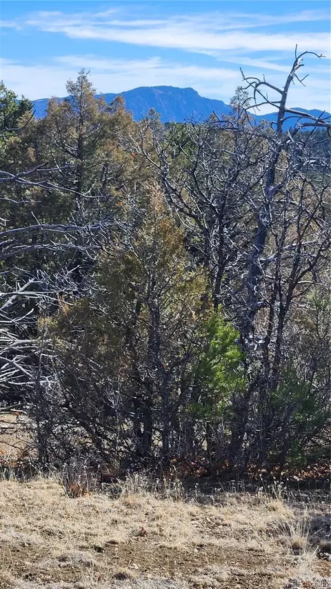 tbd L I Path, Cotopaxi, CO 81223 photo 26
