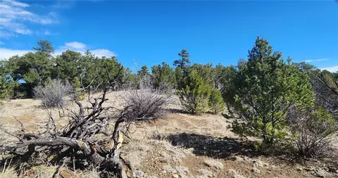 tbd L I Path, Cotopaxi, CO 81223 photo 16