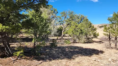 tbd L I Path, Cotopaxi, CO 81223 photo 9