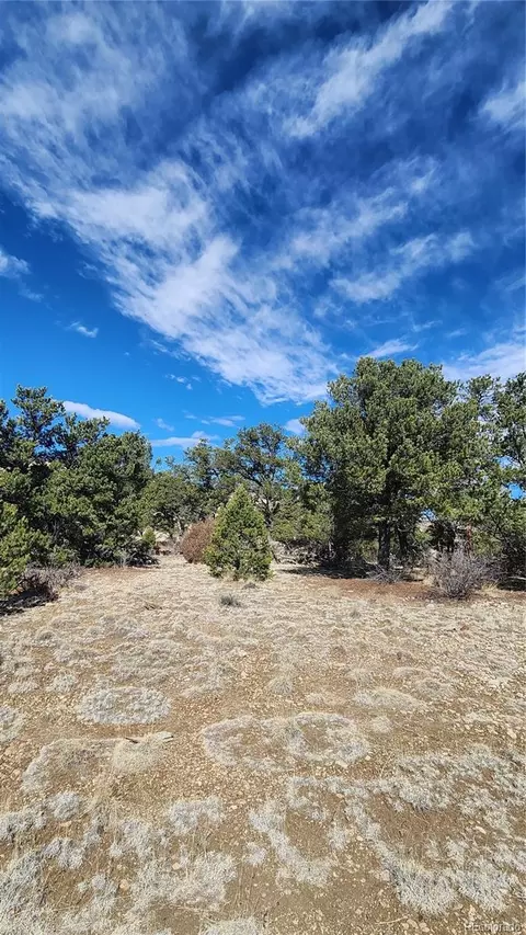 tbd L I Path, Cotopaxi, CO 81223 photo 25