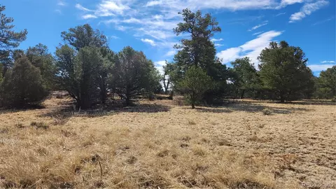tbd L I Path, Cotopaxi, CO 81223 photo 2