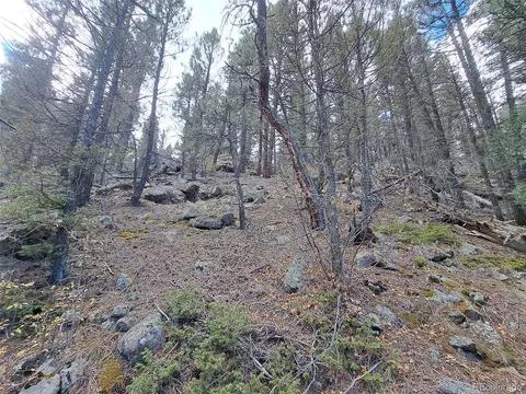 1077 Roland Dr, Bailey, CO 80421 photo 13