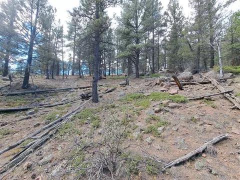 1077 Roland Dr, Bailey, CO 80421 photo 11