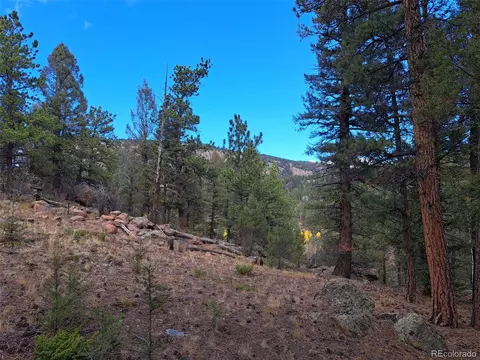 1077 Roland Dr, Bailey, CO 80421 photo 6