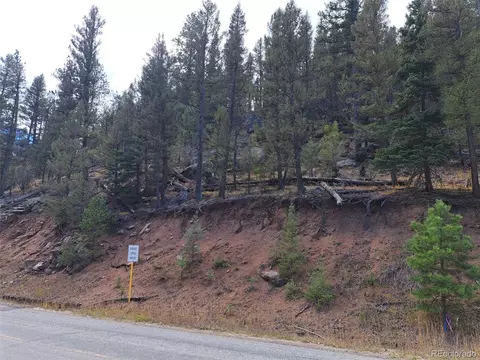 1077 Roland Dr, Bailey, CO 80421 photo 15