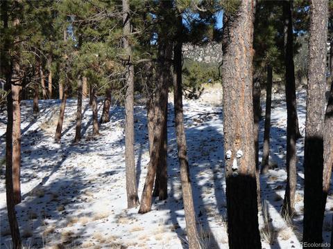 710 Gabbert Dr, Westcliffe, CO 81252 photo 21
