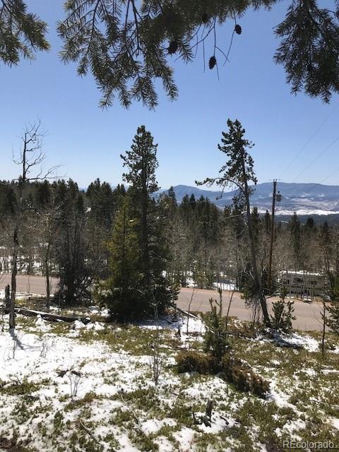 11272 Conifer Mountain Rd, Conifer, CO 80433 photo 3