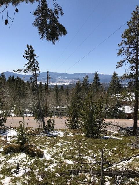 11272 Conifer Mountain Rd, Conifer, CO 80433 photo 1