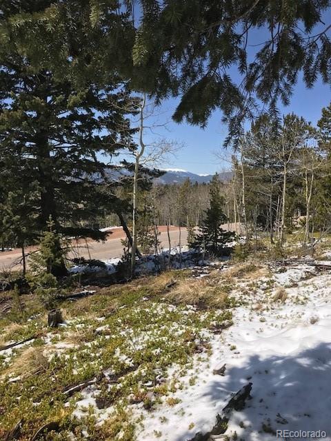 11272 Conifer Mountain Rd, Conifer, CO 80433 photo 2