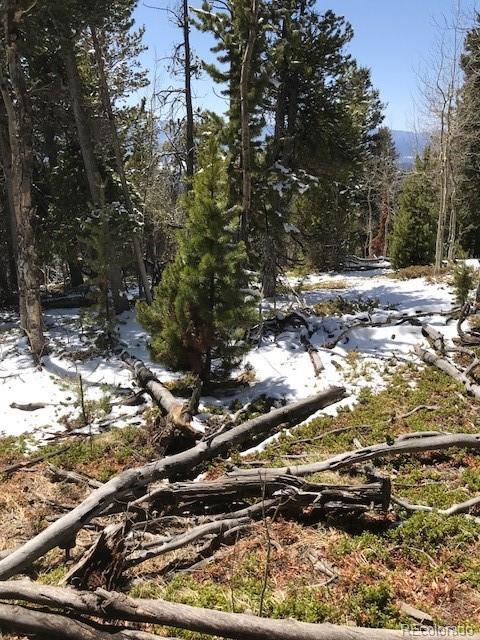 11272 Conifer Mountain Rd, Conifer, CO 80433 photo 5