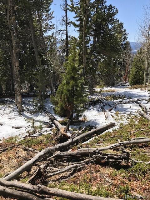 11272 Conifer Mountain Rd, Conifer, CO 80433 photo 6