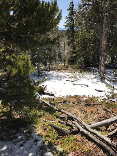 11272 Conifer Mountain Rd, Conifer, CO 80433 photo 7