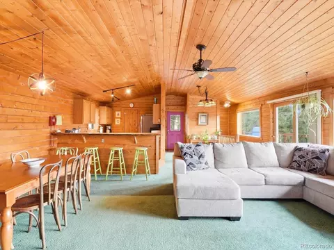 Living - 469 Eagle Trl, Bailey, CO 80421 photo 5 of 7