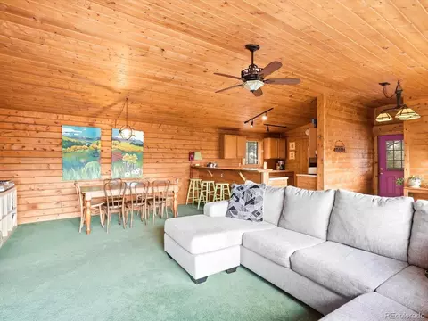 Living - 469 Eagle Trl, Bailey, CO 80421 photo 4 of 7