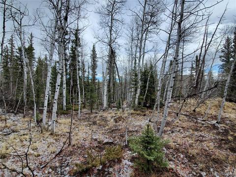 194 Buckshot Trl, Como, CO 80432 photo 8
