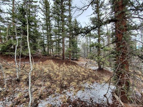 194 Buckshot Trl, Como, CO 80432 photo 13