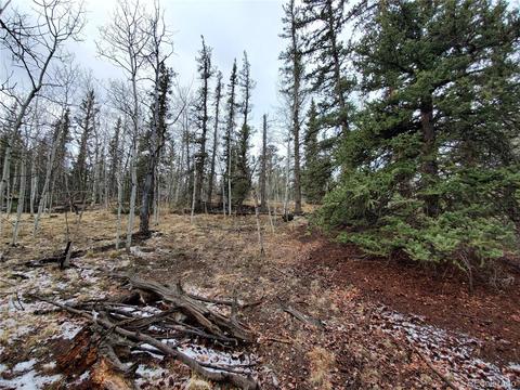 194 Buckshot Trl, Como, CO 80432 photo 14