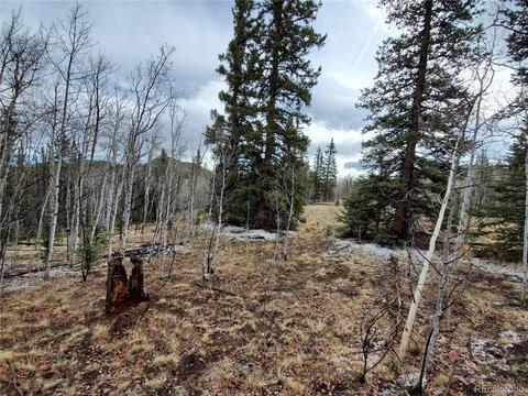 194 Buckshot Trl, Como, CO 80432 photo 5