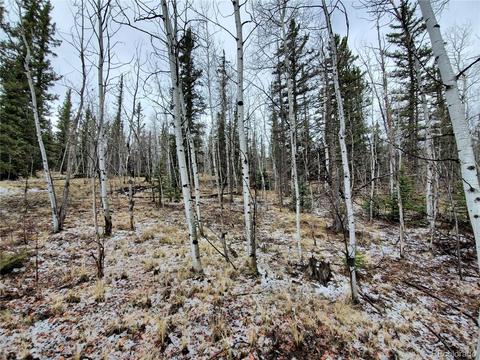 194 Buckshot Trl, Como, CO 80432 photo 9