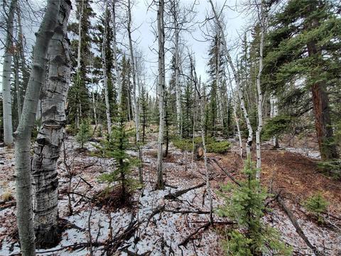 194 Buckshot Trl, Como, CO 80432 photo 12