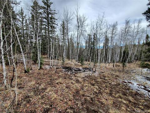 194 Buckshot Trl, Como, CO 80432 photo 6